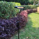 4035 - Eclairage Massif h80 cm Diffuseur Horizontal