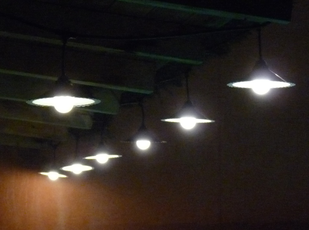 8606-33-30L-P - Guirlande 6m 8xE27 Coupelle + prise