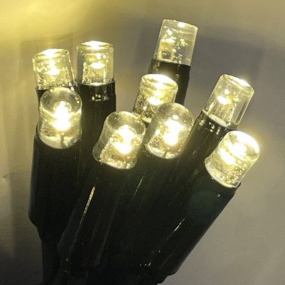 9510 - EXTENSION - Guirlande 30 LEDS (Fixe) - 3 m - Fil Noir - Blanc Chaud 2200°k