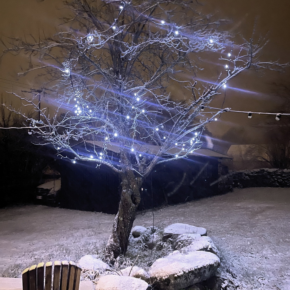 9533 - EXTENSION - Stalactite 60 LEDS (Flash) - L 2 m x H 55 cm -  Fil Noir - Blanc Froid 6500°K